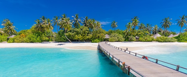 Drewniana ścieżka molo, kładka na rajską wyspę, tropikalny brzeg plaży. Palmy piasek słoneczne morze niebo