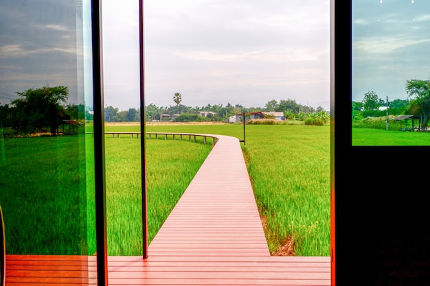 Zdjęcie drewniana ścieżka na ryżu polu