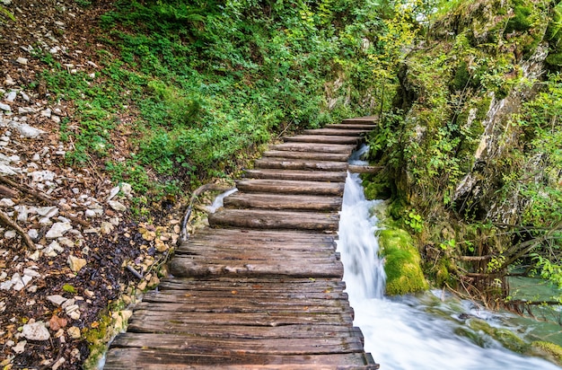 Drewniana ścieżka nad wodą w Parku Narodowym Plitvice w Chorwacji