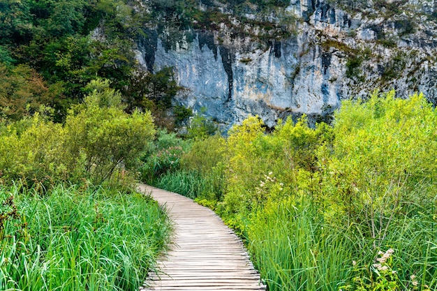 Zdjęcie drewniana ścieżka nad wodą w parku narodowym plitwice. światowe dziedzictwo unesco w chorwacji
