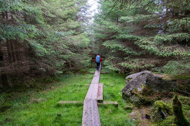 Drewniana ścieżka W Stylu Wicklow Z Dziewczyną Wycieczkowiczką.