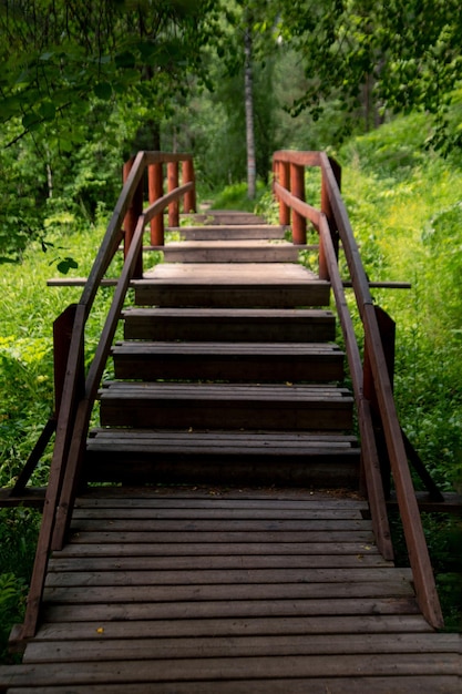 Drewniana ścieżka z balustradami i schodami w bujnym zielonym lesie Spacer na świeżym powietrzu