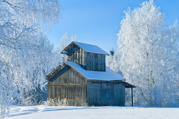 Drewniana Stodoła W Zimowym Krajobrazie W Laponii, Finlandia