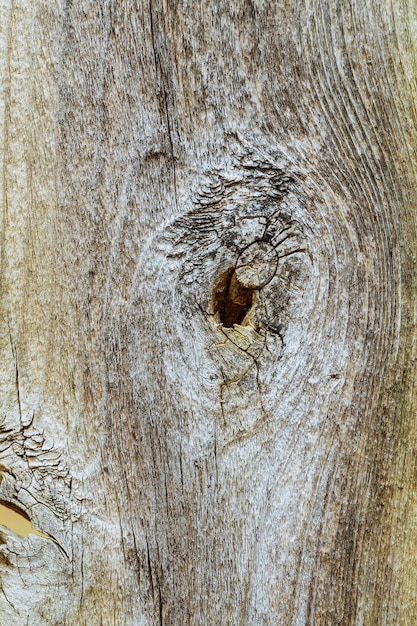 Drewniana tekstura z naturalnym deseniowym tłem
