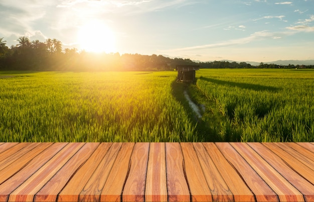 Drewniane deski i piękna naturalna sceneria zielonych pól ryżowych w porze deszczowej i zachodu słońca.