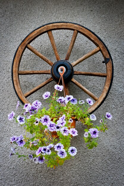 Zdjęcie drewniane koło z doniczką
