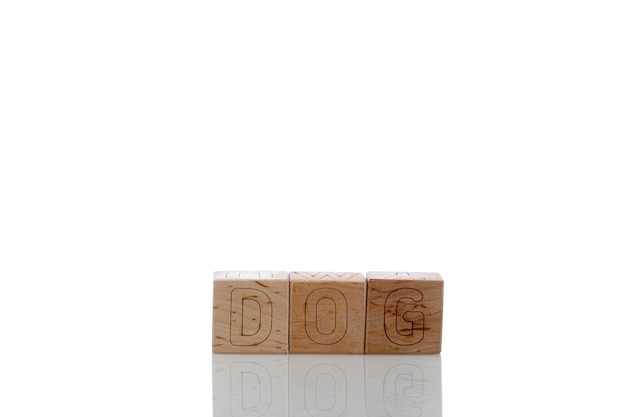 Drewniane kostki z literami psa na białym tle