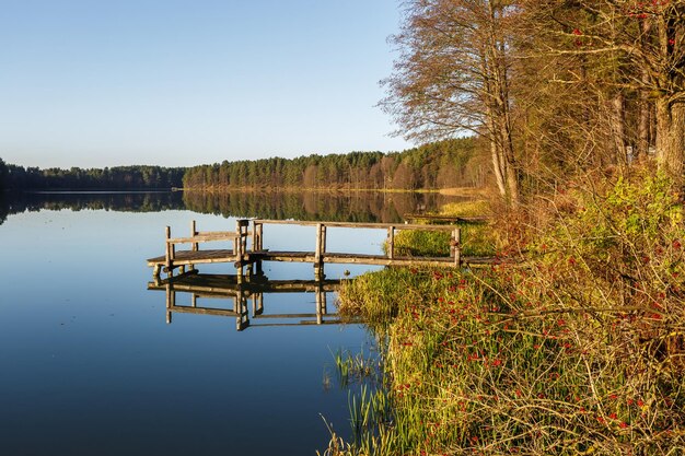 Zdjęcie drewniane molo nad jeziorem w jesiennym lesie wieczorem