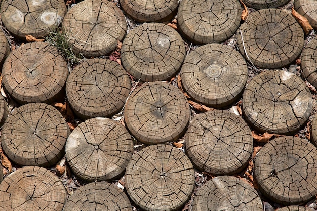 Drewniane pnie na chodniku w Hiszpanii