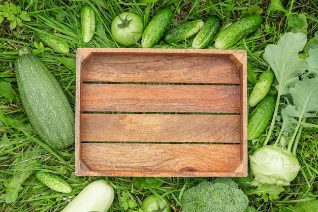 Drewniane pudełko i zielone warzywa na trawie Zdrowe jedzenie koncepcja Zbiorów