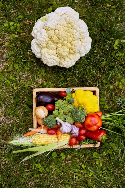 Drewniane pudełko z różnymi świeżymi warzywami hodowlanymi na zewnątrz na trawie