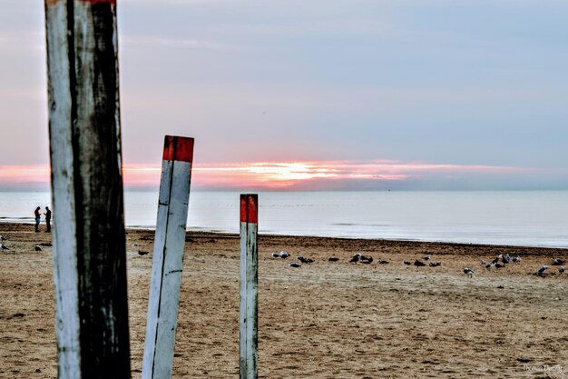 Zdjęcie drewniane słupy na plaży na tle nieba