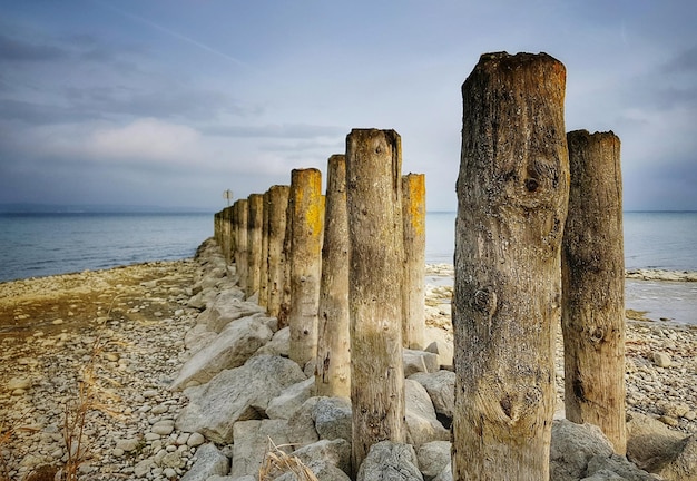 Zdjęcie drewniane słupy na plaży na tle nieba