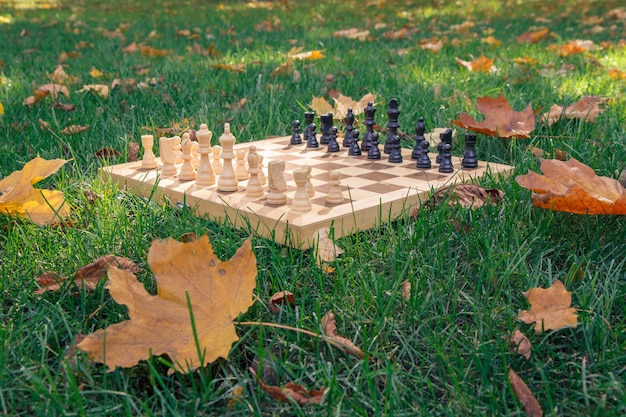 Drewniane szachy na trawiastej ziemi pokrytej suchymi żółtymi liśćmi w parku miejskim. Skoncentruj się na białych kawałkach.