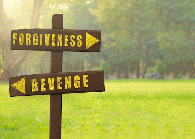 Drewniane tabliczki Przebaczenie kontra zemsta na naturalnym zielonym tle miejsca kopiowania