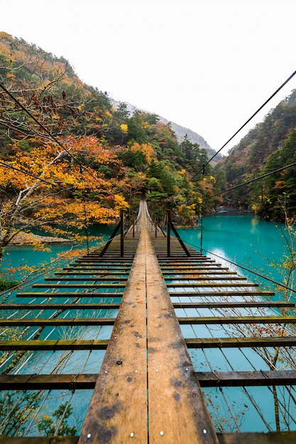 Drewnianego Mosta Zawieszenie Nad Zieloną Rzeką W Naturalnym Lasowym Jesień Sezonie Japan