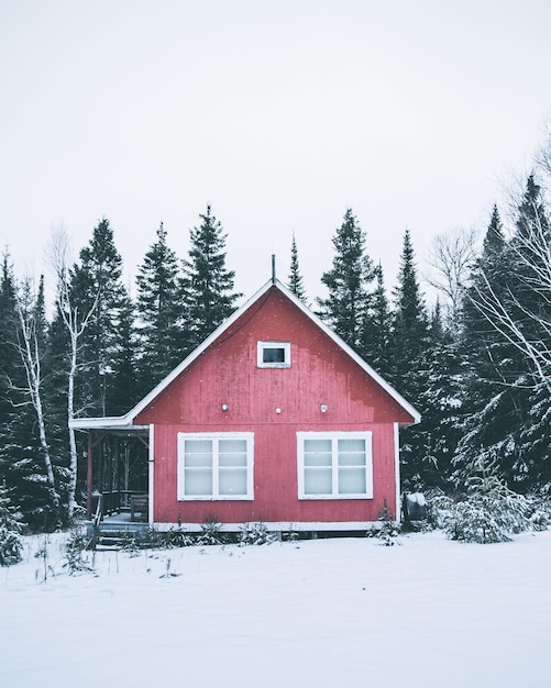 Drewniany czerwony dom otoczony drzewami świerkowymi pokrytymi śniegiem na wsi w zimie