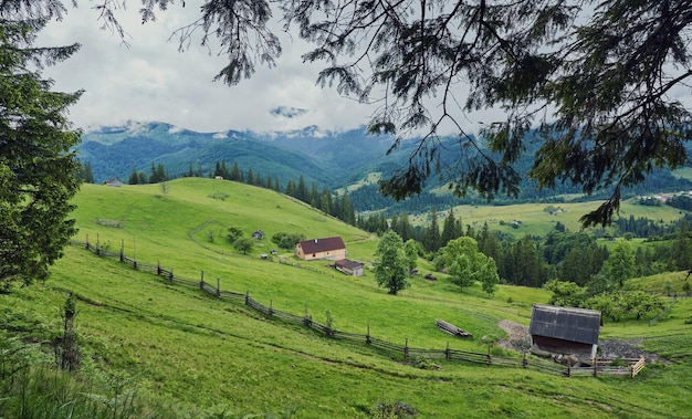 Drewniany dom na zielonej łące w górach Dom w pobliżu starego lasu