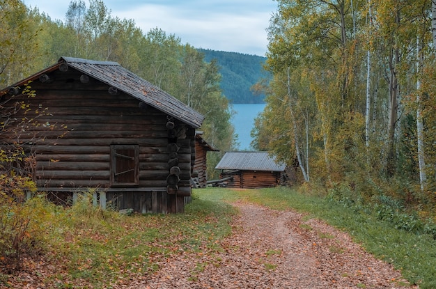 Drewniany dom w jesiennym lesie w pobliżu koncepcji natury jeziora