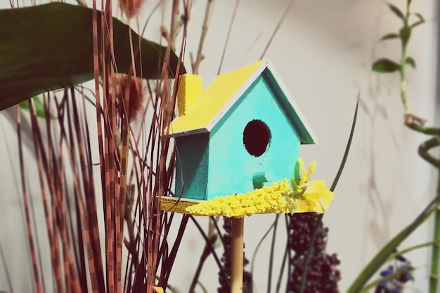 Zdjęcie drewniany domek dla ptaków przy roślinach