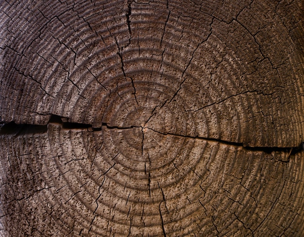 Drewniany kawałek tekstury z pękniętymi miejscami. Pierścienie wieku na rozcięciu. Ciemnobrązowy odcień starego drzewa. Piękny wzór drzewa.