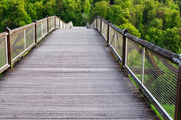Drewniany Most Prowadzący do Zielonych Wzgórz