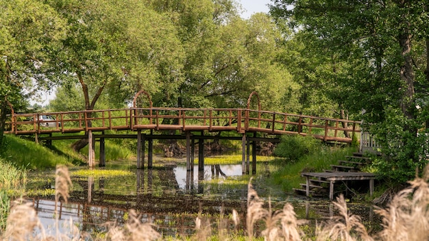 Drewniany Most Wysoki Nad Zarośniętym Korytem Rzeki