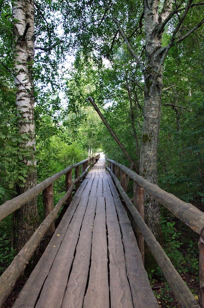 Drewniany most z drzewami po bokach