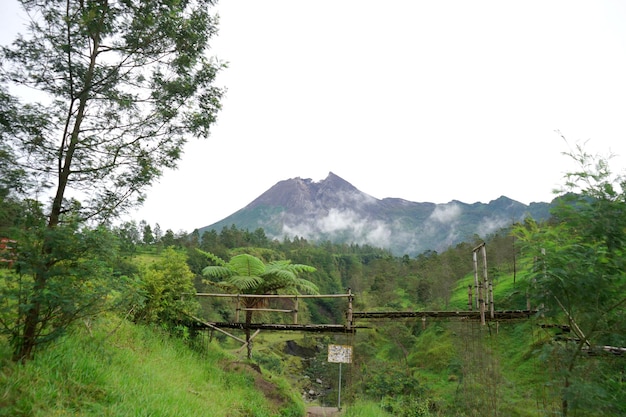 Drewniany most z widokiem na piękno góry Merapi i zielone drzewa