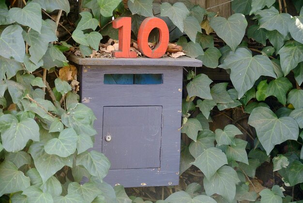 Zdjęcie drewniany numer 10 na skrzynce pocztowej pośród roślin