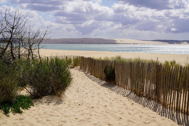 Drewniany płot ścieżka dostęp wydma du pilat piasek plaża ocean morze atlantyckie w capferret pyla we francji