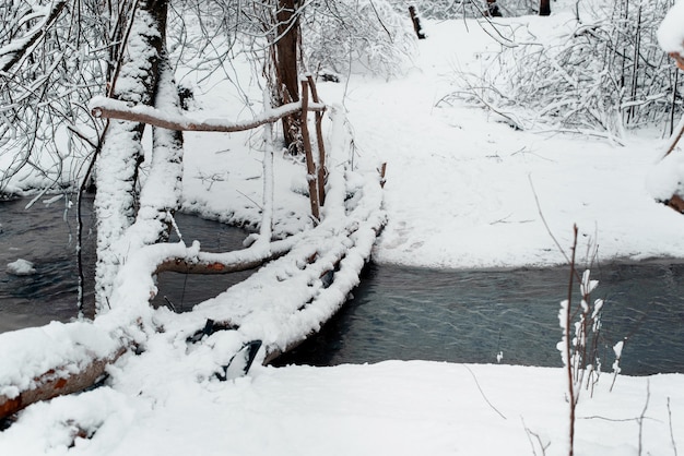Drewniany prowizoryczny most nad stawem. Zimowy las. Wiejski krajobraz