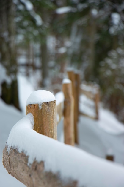 Drewniany słup poręcz wygięty beżowy płot zimowa droga w lesie żółte słupki czapka śnieżna