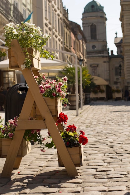 Zdjęcie drewniany stojak na kwiaty