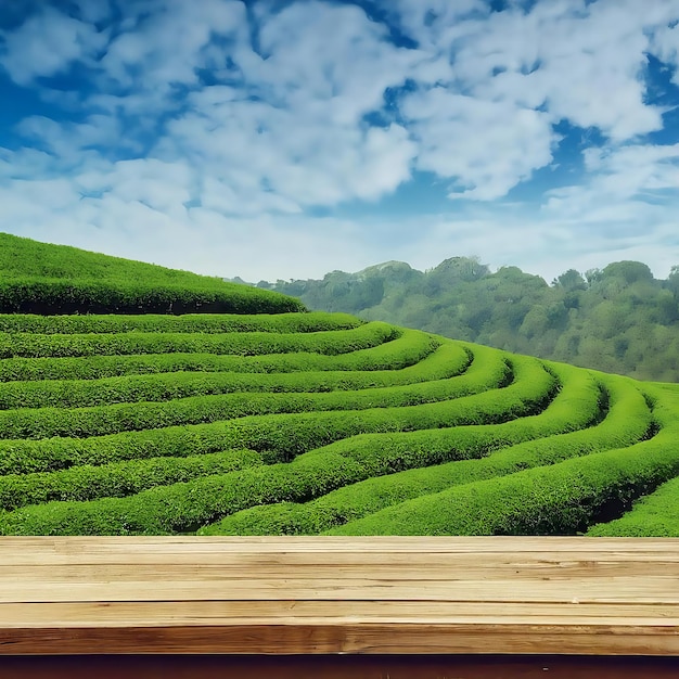 drewniany stół na plantacji herbaty krajobraz niebieskie niebo 6