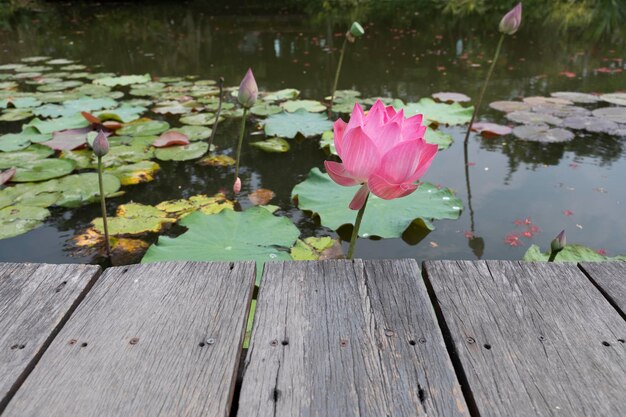 Drewniany stół na tle stawu lotosu korytarza