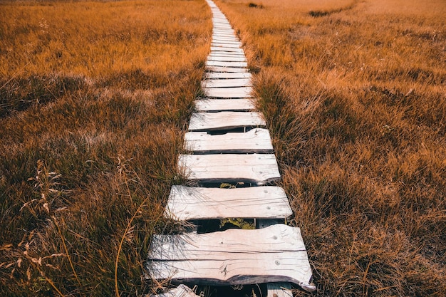 Zdjęcie drewniany szlak wykonany z desek na żółtym polu w ciągu dnia