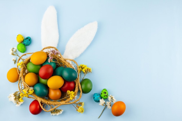 drewniany wiklinowy kosz z malowane kolorowe jajka białe uszy króliczka wielkanocnego na pastelowym niebieskim tle z gałązek wiosennych kwiatów widok z góry z miejsca na tekst. Koncepcja religijnego Święta Wielkanocnego.