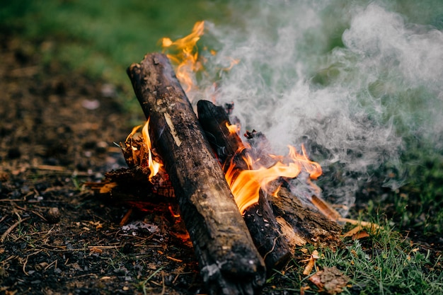 Drewno płonie w naturze