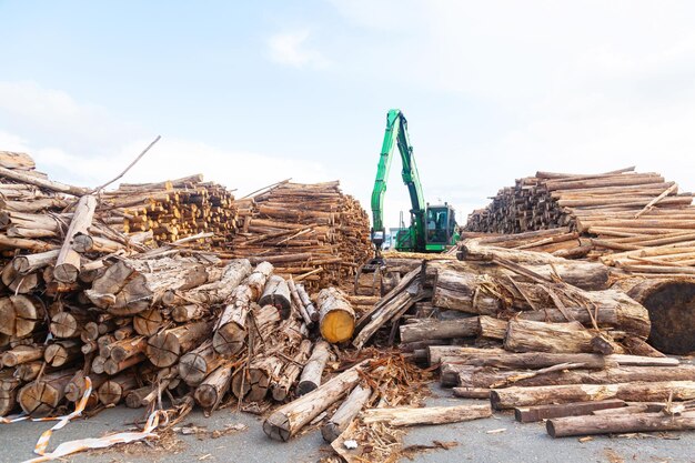 Drewno przygotowane do transportu Wycinanie drewna na miejscu za pomocą koparki