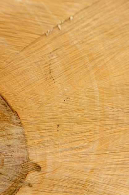 Drewno z bali. Naturalna organiczna tekstura o popękanej i szorstkiej powierzchni. Makro widok końca cięcia drewna sekcji drzewa z pęknięciami. Drewniana powierzchnia z rocznymi słojami.
