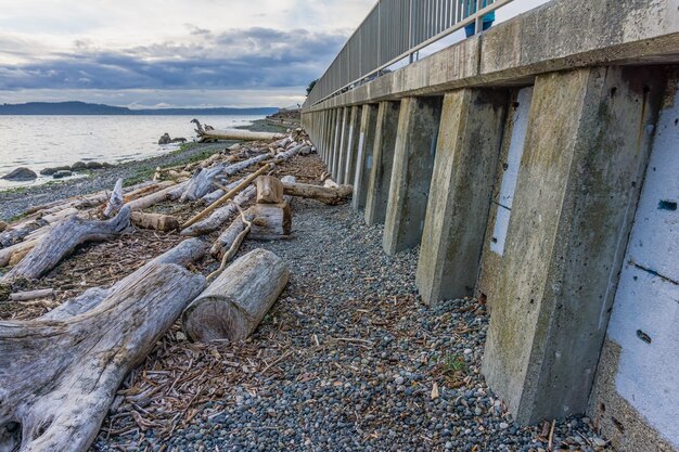 Driftwood linii brzegu przez ścianę w zachodnim Seattle Washington