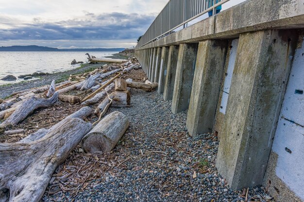 Zdjęcie driftwood linii brzegu przez ścianę w zachodnim seattle washington