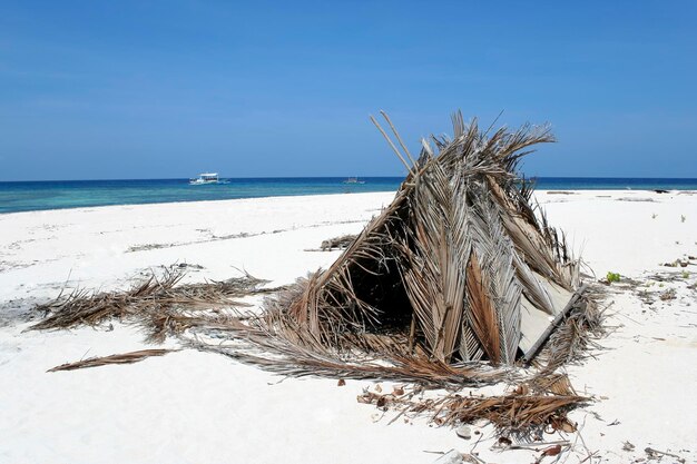 Zdjęcie driftwood na plaży na tle nieba