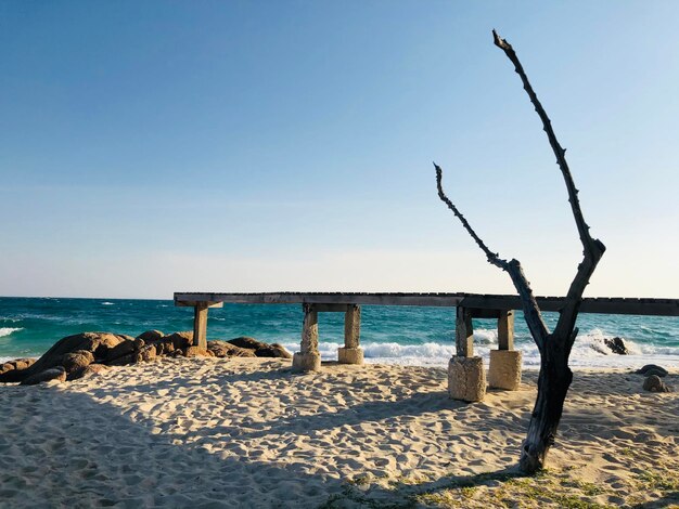 Zdjęcie driftwood na plaży na tle nieba