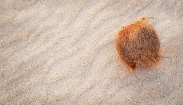 Drobny piasek na plaży na tle wzoru letniego słońca Z cocos