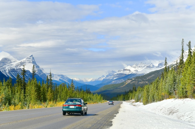 Droga 93 Piękna Icefield Parkway W Jesiennym Parku Narodowym Jasperkanada