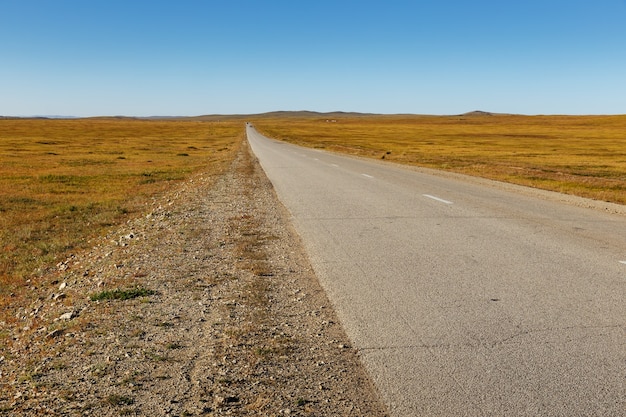 Droga asfaltowa w mongolskim stepie, Mongolia. Bagakhangai Choir Road