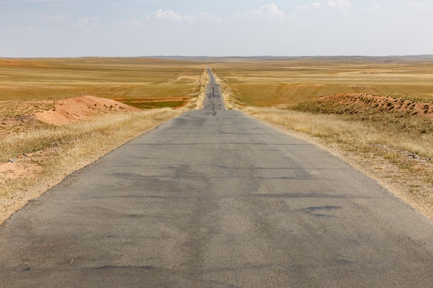Droga asfaltowa w stepie, Mongolia Wewnętrzna