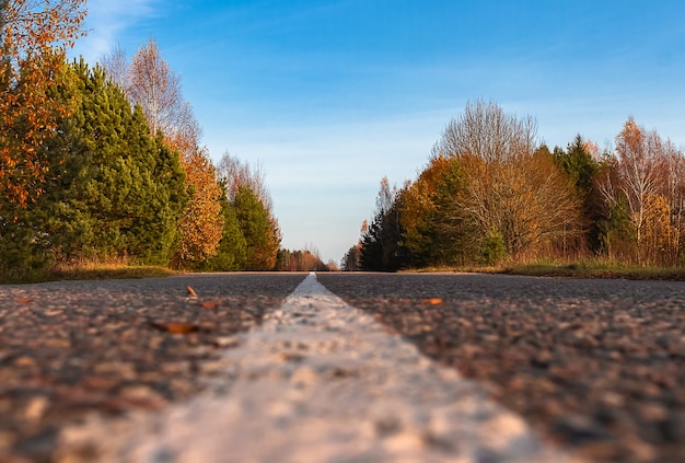 Droga Do Horyzontu W Pięknym Lesie Jesienią. Jesienny Krajobraz